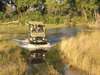 Pom Pom Camp - game drive through river